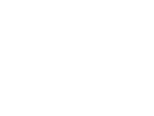 Barz